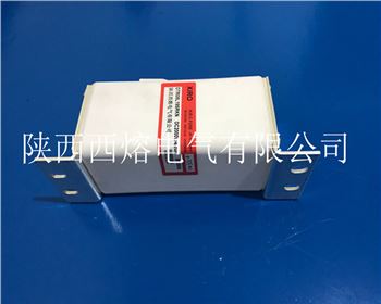 L型系列有填料方型母線式快速熔斷器 L型系列有填料方型母線式快速熔斷器